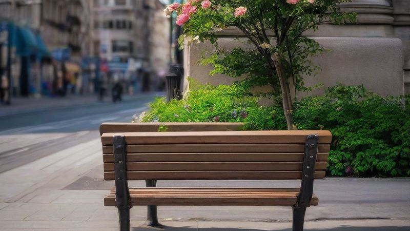 Барселона бореться з самотністю за допомогою соціального рецепта