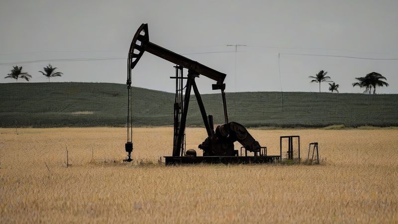Бразильський фермер знайшов нафту на своїй фермі
