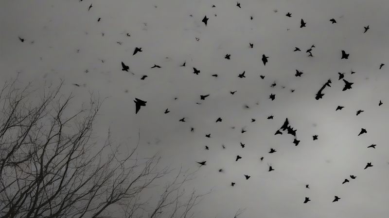 Дзвін на небі: традиційне рішення проблеми безпеки під час затемнення