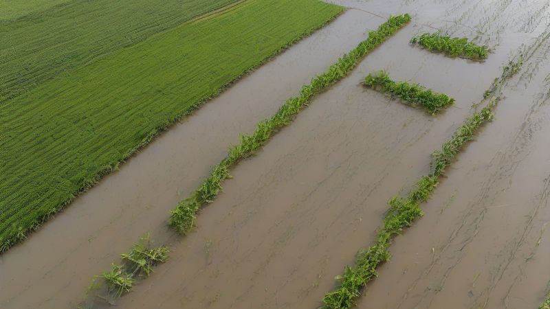 Граду обвалила сільське господарство у місті Сіеза