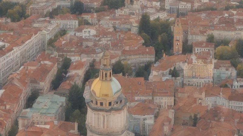 У Арагоне з'явилися нові іберійські риси для реінтродукції