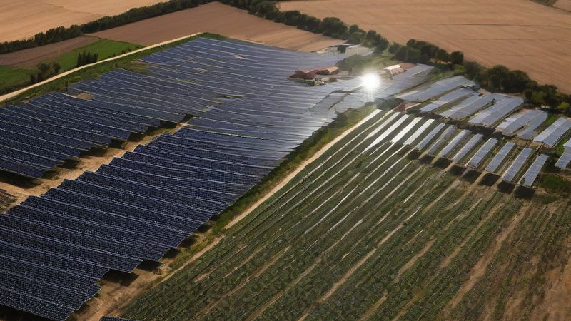 У Кордові збудують найбільший в Іспанії проект біоенергетики з сільського господарства