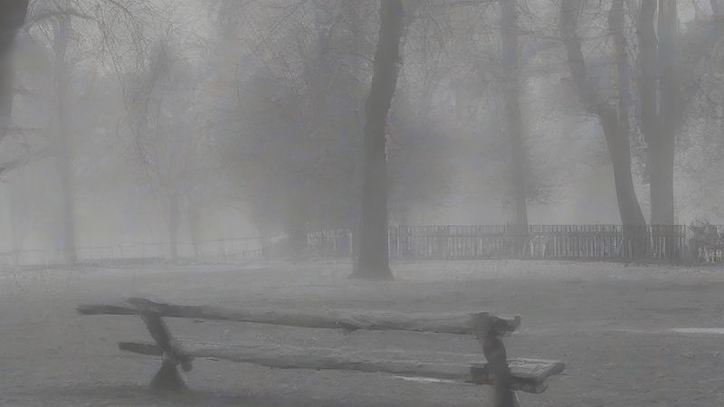 В Yellowstone повернулися вовки: чи змінили вони річки?