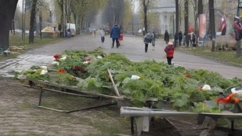 Води Антарктиди швидко тепліють